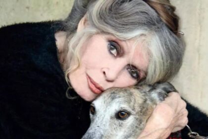 ultima dorinta a lui brigitte bardot nu va fi respectata schimbare majora in organizarea funeraliilor actritei legenda 6954413df2beb