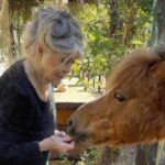 ultima dorinta a lui brigitte bardot va fi inmormantata la saint tropez alaturi de animalele pe care le a iubit 695278c4b55f9