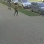 un copil de 10 ani a fost bagat in spital de o persoana aflata pe trotineta electrica aceasta a fugit de la locul incidentului 69439b58ac8c2