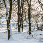 variatii mari de temperatura in decembrie racire accentuata dupa data de 18 cum va fi vremea de craciun pe regiuni 6936c130a7091