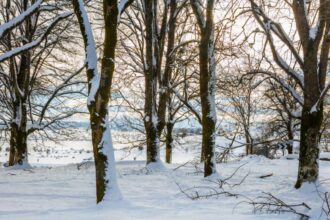variatii mari de temperatura in decembrie racire accentuata dupa data de 18 cum va fi vremea de craciun pe regiuni 6936c130a7091