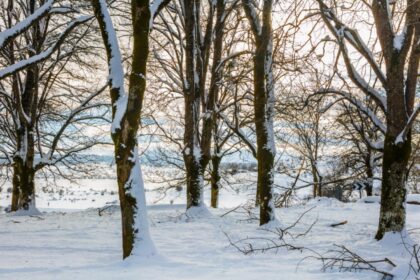 variatii mari de temperatura in decembrie racire accentuata dupa data de 18 cum va fi vremea de craciun pe regiuni 6936c130a7091