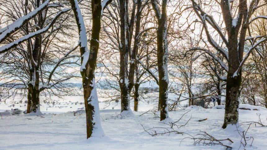 variatii mari de temperatura in decembrie racire accentuata dupa data de 18 cum va fi vremea de craciun pe regiuni 6936c130a7091