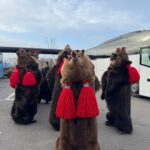 video ro alert in pacurari ursii de la comanesti au ajuns la iasi cel mai vechi urs colinda de 54 de ani 6943dd7172742