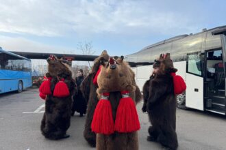 video ro alert in pacurari ursii de la comanesti au ajuns la iasi cel mai vechi urs colinda de 54 de ani 6943dd7172742