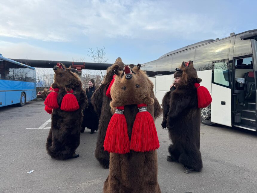 video ro alert in pacurari ursii de la comanesti au ajuns la iasi cel mai vechi urs colinda de 54 de ani 6943dd7172742