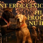 videoclipul emotionant al jandarmeriei care arata efectele devastatoare ale petardelor asupra animalelor de companie 695446818a7fc