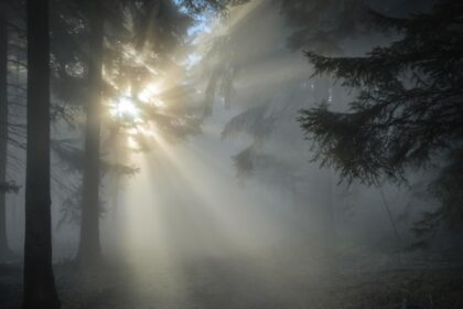 vreme de toamna de craciun cand vin primele ninsori anm a facut anuntul 693bb9e4a8bb0