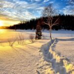 vremea 17 decembrie temperaturi de primavara in plina luna de iarna care sunt maximele zilei de astazi 694246cc495e6