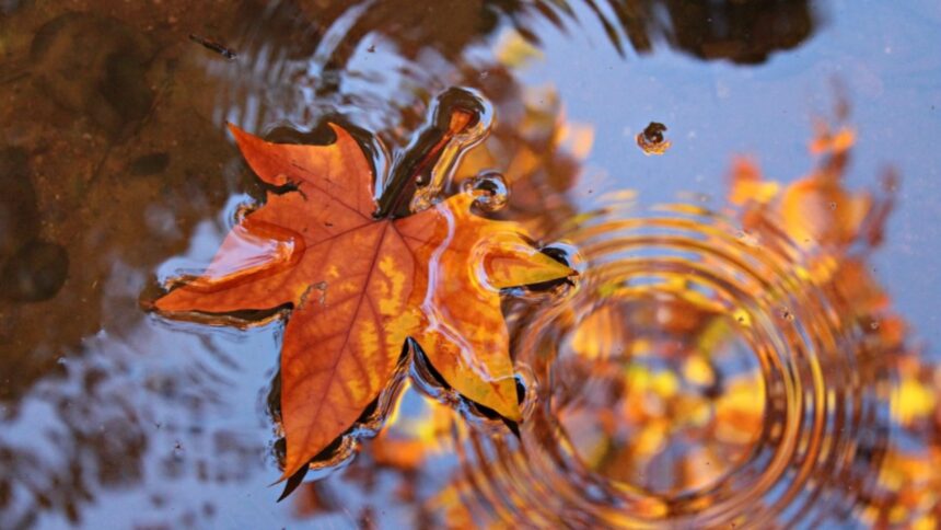 vremea 6 decembrie temperaturi scazute in toata tara de sfantul nicolae ploi in sud si est vant puternic in dobrogea si muntenia 6933d0d478a48