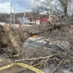 zeci de arbori doborati de vant masini avariate in municipiul iasi 6951221a750b3