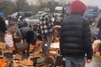 zeci de oameni s au inghesuit sa adune portocalele imprastiate dintr un tir rasturnat pe un drum din mehedinti video 692ebaafc706e