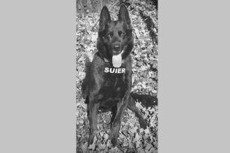 a murit suier unul dintre cei mai respectati caini politisti din romania 6957fb834293f