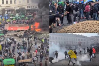 acordul controversat ue mercosur intra in linie dreapta pentru semnare dupa ce italia a depus armele in schimbul a 45 de miliarde de euro 695e6dcc3e9cf