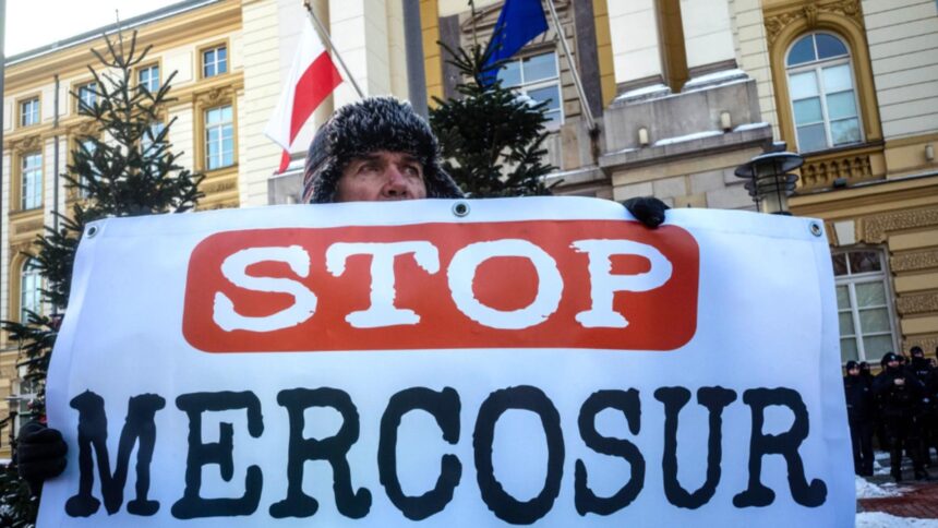 acordul mercosur cine castiga cine pierde si de ce fermierii europeni sunt cei mai expusi 69624622522c2