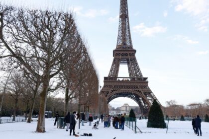 adevarul despre francezi spus de o romanca din diaspora ei se gandesc ca sunt francezi si asta e realizarea lor nu ii mai intereseaza sa munceasca 696bfccd24c4c