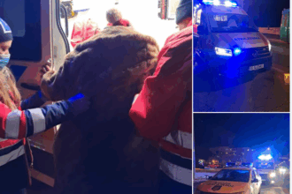 adevarul trist care smulge lacrimi un iesean infrigurat se plimba cu tramvaiul pentru a se incalzi 696e856c8701c