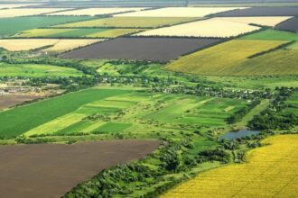 al cui e terenul cumparat la iasi de sotul aflat in rusia un dosar de divort inchis de 15 ani va fi redeschis si reluat de la zero 695f1784e8d74