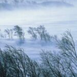 alerta anm cod rosu de vant in judetul cluj rafale de 120 km h 6956d0e5e3468