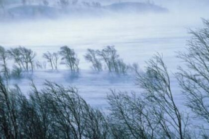 alerta anm cod rosu de vant in judetul cluj rafale de 120 km h 6956d0e5e3468