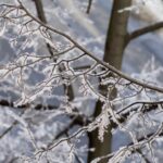 alerta de calatorie de la mae o tara aflata in apropierea romaniei se confrunta cu cod portocaliu de ploi torentiale si ninsori abundente 695bc37c7b8d6