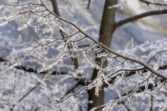alerta de calatorie de la mae o tara aflata in apropierea romaniei se confrunta cu cod portocaliu de ploi torentiale si ninsori abundente 695bc37c7b8d6