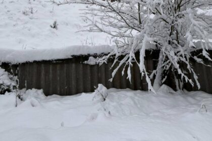 alerta meteo cod galben ninsoare si viscol in munti strat de zapada de pana la 15 cm in transilvania si maramures harta cu zonele vizate 6958d91441a6f