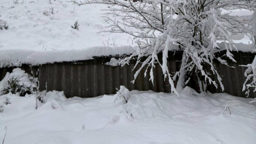 alerta meteo cod galben ninsoare si viscol in munti strat de zapada de pana la 15 cm in transilvania si maramures harta cu zonele vizate 6958d91441a6f