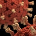 alerta sanitara intr o tara din europa autoritatile se pregatesc pentru cel mai greu sezon de gripa din istorie 695f6d83a6a83