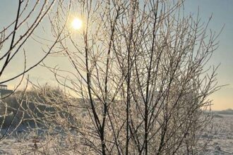 anm alerte cod galben de ger in aproape intreaga tara pana miercuri dimineata 6964b35494e65