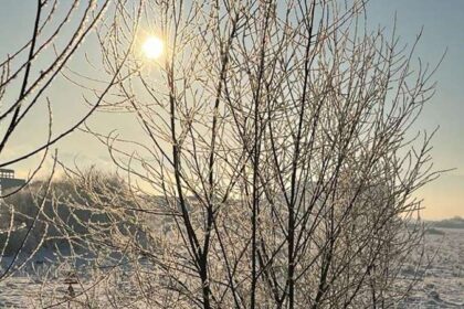 anm alerte cod galben de ger in aproape intreaga tara pana miercuri dimineata 6964b35494e65