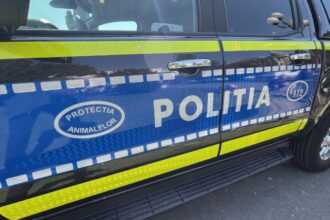 bihorean care a ucis cu o lovitura de bata cainele unui consatean retinut de politistii de la protectia animalelor 6960cc83afaf8