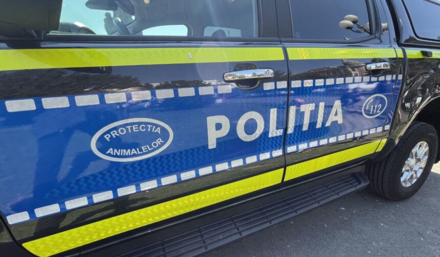 bihorean care a ucis cu o lovitura de bata cainele unui consatean retinut de politistii de la protectia animalelor 6960cc83afaf8