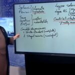 calcule exclusive cati bani ia bolojan de la pensionari ce spune experta in pensii dorina barcari video 695a135153475