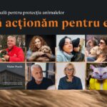 cand tacerea nu mai e o optiune iasul gazduieste conferinta regionala pentru protectia animalelor 69687fb7a97b5