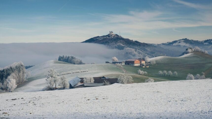 cea mai geroasa noapte din aceasta iarna polul frigului s a mutat in banat 17c la timisoara 69609cc9c888f