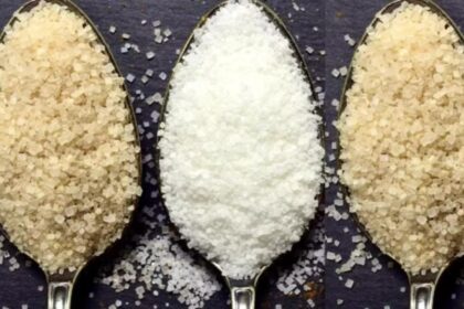 cel mai daunator aliment pentru creier nu este nici carnea procesata nici mancarea prajita 696f2ec9a359f