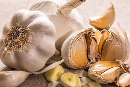 cele mai bune antibiotice naturale sunt eficiente si la indemana oricui 69675e343b309