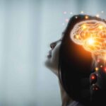 cercetatorii au identificat o substanta naturala care restabileste functiile memoriei afectate in alzheimer 695cce20c1e3b