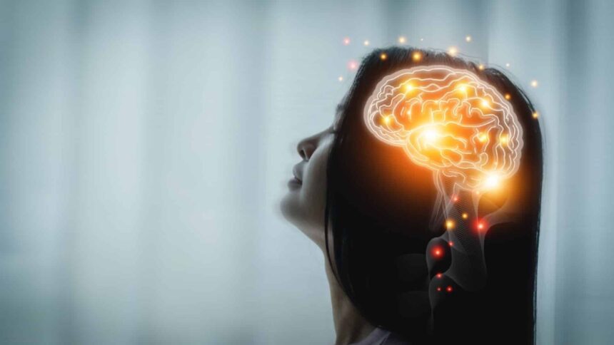 cercetatorii au identificat o substanta naturala care restabileste functiile memoriei afectate in alzheimer 695cce20c1e3b