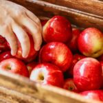 cocteiluri de pesticide in merele cultivate in europa semnal de alarma tras de mai multe ong uri 697b493c6b77c