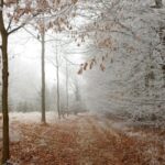 cod galben de ger vortexul polar loveste romania sefa anm urmeaza temperaturi de 14 grade celsius 697db092758fc 1