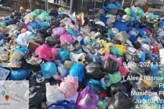 comisia europeana da in judecata romania din cauza depozitelor de deseuri lasate in paragina 697ca0d1429ac