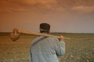 cooperativa agricola in 2026 nu multumesc fermierii ieseni avertizeaza ca noile masuri fiscale fac asocierea tot mai putin atractiva 69717e7e6192c