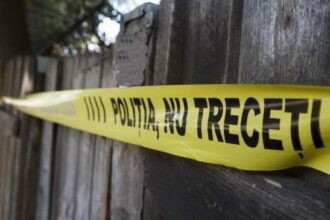 crima cu sange rece in judetul iasi un barbat din butea si ar fi ucis mama cu o bucata de lemn 69794ff2add16