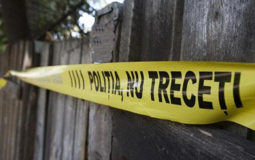 crima cu sange rece in judetul iasi un barbat din butea si ar fi ucis mama cu o bucata de lemn 69794ff2add16