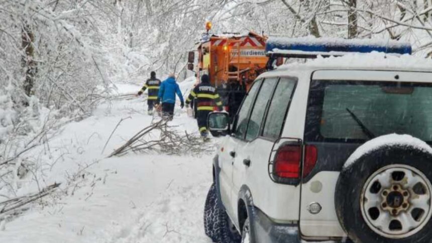 cum supravietuieste singurul om dintr un sat din apuseni dupa ce iarna a taiat orice legatura cu civilizatia 69615bb5df9f0