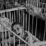 denunt penal dupa ce aproape 500 de minori au murit intr un camin spital din dambovita iiccmer loc de exterminare a copiilor 697b3fac3b87b