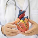 diabetul zaharat de tip 2 poate modifica fizic inima pacientilor explicatiile oamenilor de stiinta 695e297a204e2