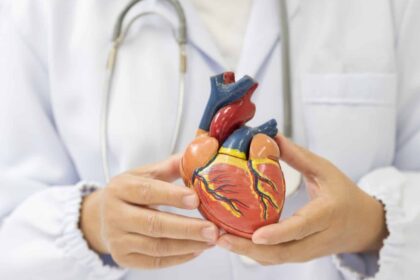 diabetul zaharat de tip 2 poate modifica fizic inima pacientilor explicatiile oamenilor de stiinta 695e297a204e2